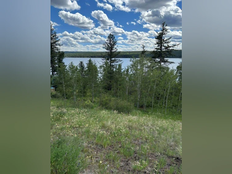 Lot 16 Trout Drive, Lac La Hache, BC, V0K 1T0 - 8