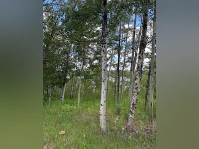 Lot 16 Trout Drive - 4