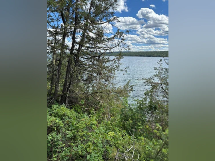 Lot 16 Trout Drive, Lac La Hache, BC, V0K 1T0 - 10