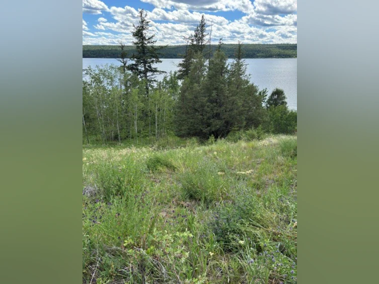 Lot 16 Trout Drive, Lac La Hache, BC, V0K 1T0 - 6