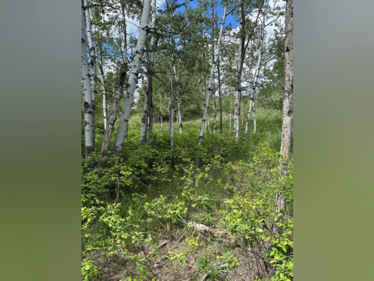 Lot 16 Trout Drive, Lac La Hache, BC, V0K 1T0 - 13