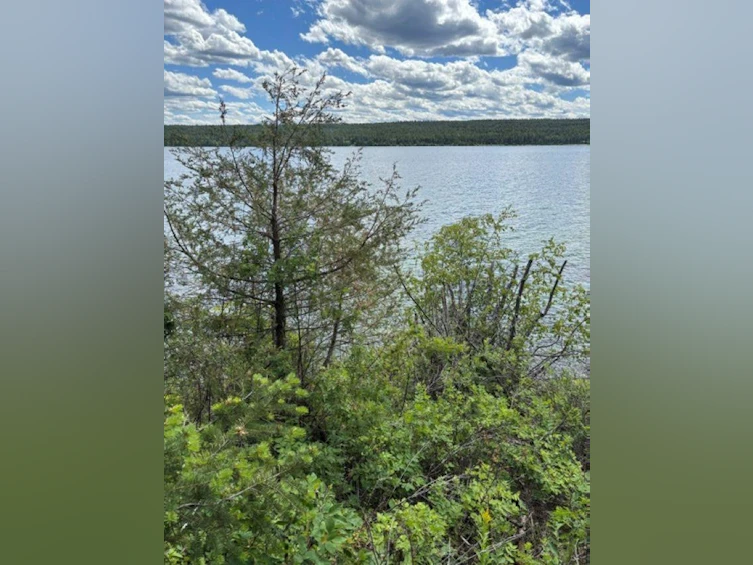 Lot 16 Trout Drive, Lac La Hache, BC, V0K 1T0 - 11