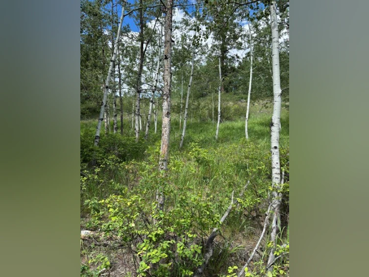 Lot 16 Trout Drive, Lac La Hache, BC, V0K 1T0 - 12