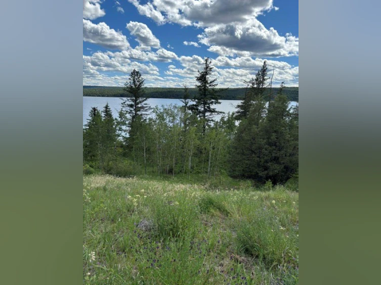 Lot 16 Trout Drive, Lac La Hache, BC, V0K 1T0 - 5