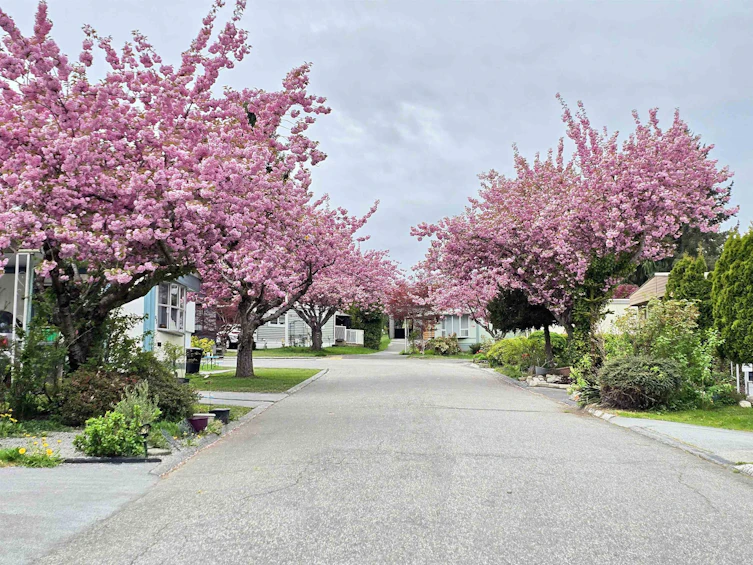 56-8220 King George Boulevard, Surrey, BC, V3W 6E1 - 25