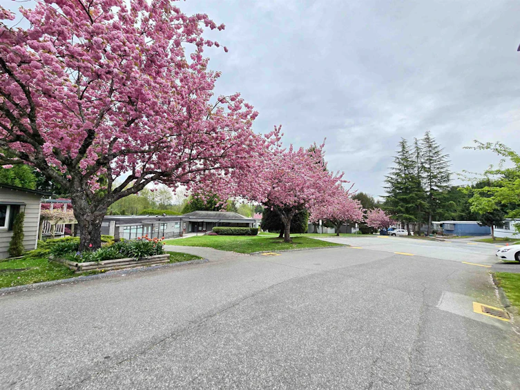 56-8220 King George Boulevard, Surrey, BC, V3W 6E1 - 26