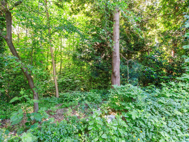 2676 Tretheway Drive, Burnaby, BC, V5B 4R8 - 22