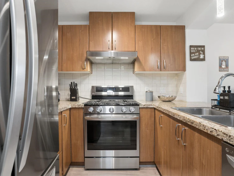 202-3082 Dayanee Springs Boulevard, Coquitlam, BC, V3E 0A3 - 12
