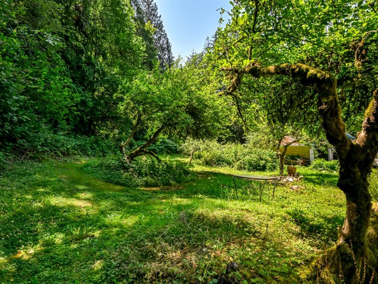 25050 Morrisette Place, Maple Ridge, BC, V2W 1G8 - 36