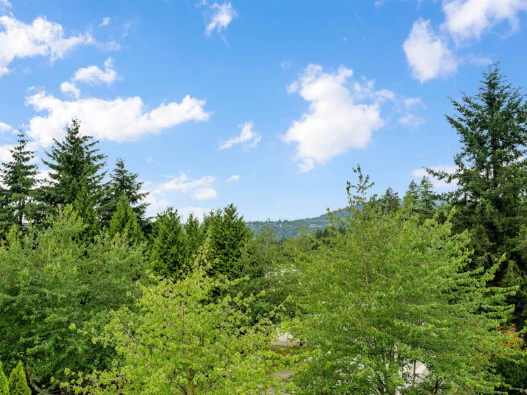 116 Ravine Drive, Port Moody, BC, V3H 4T2 - 36