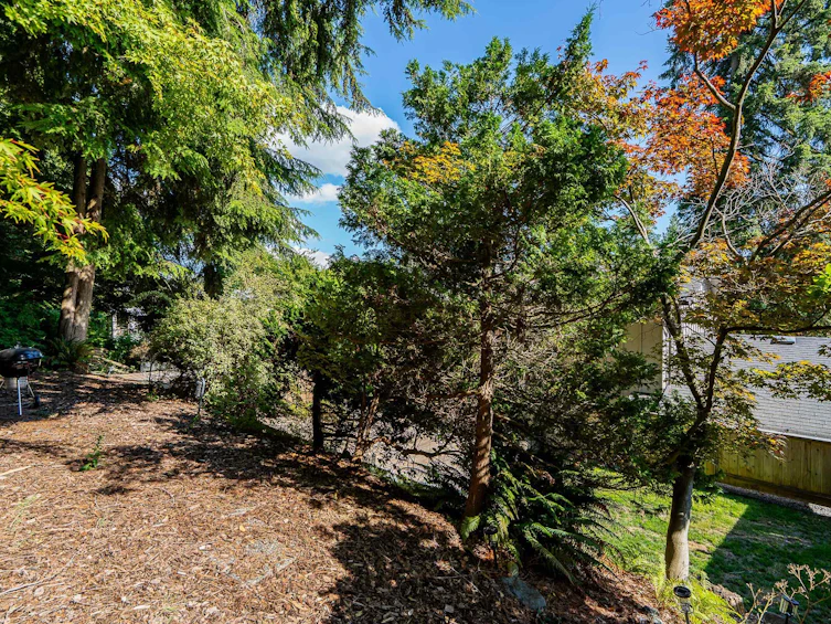 137 College Park Way, Port Moody, BC, V3H 1S5 - 30