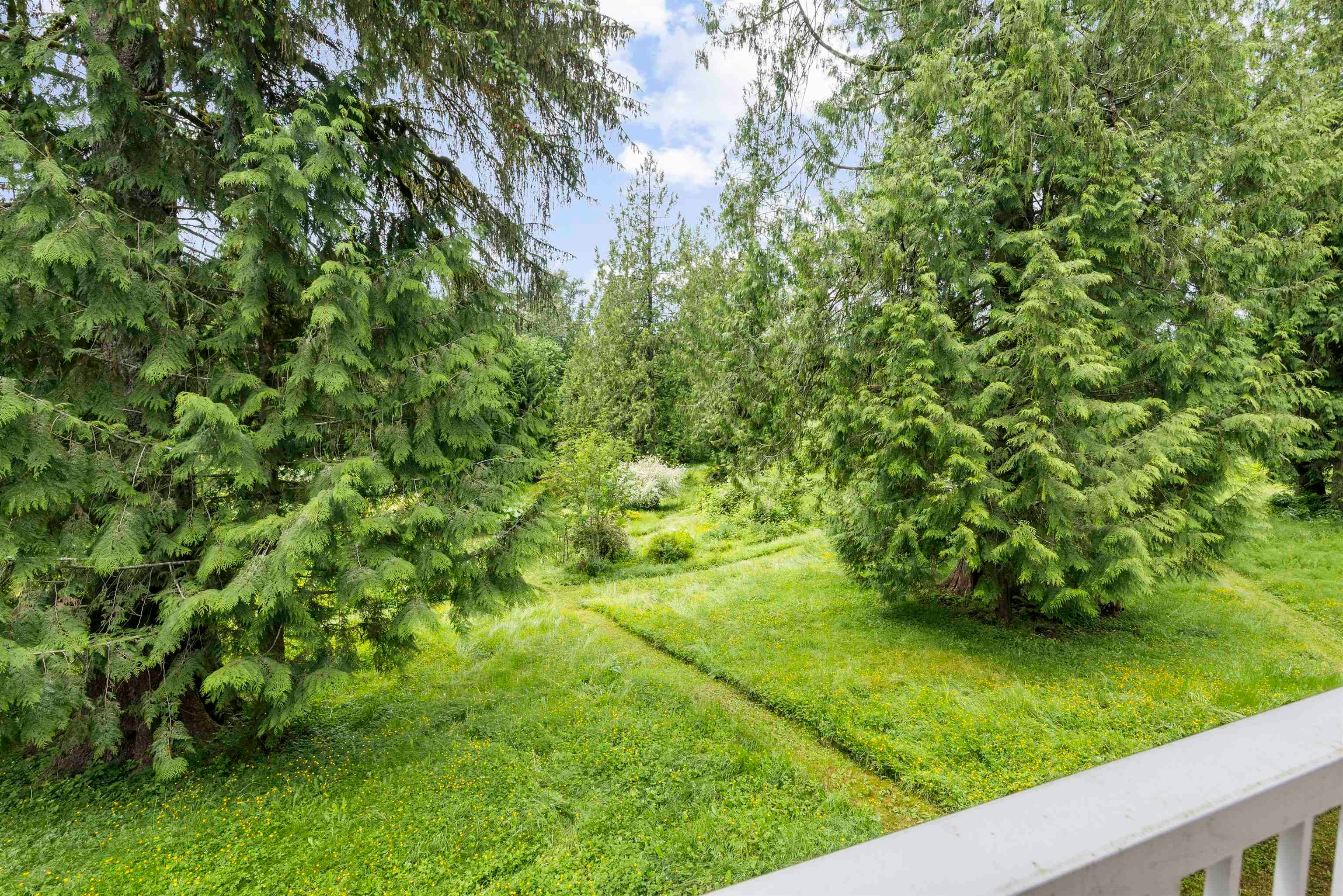 26350 Trethewey Crescent, Maple Ridge, BC, V2W 1A5 - 37