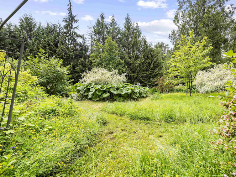 26350 Trethewey Crescent, Maple Ridge, BC, V2W 1A5 - 34