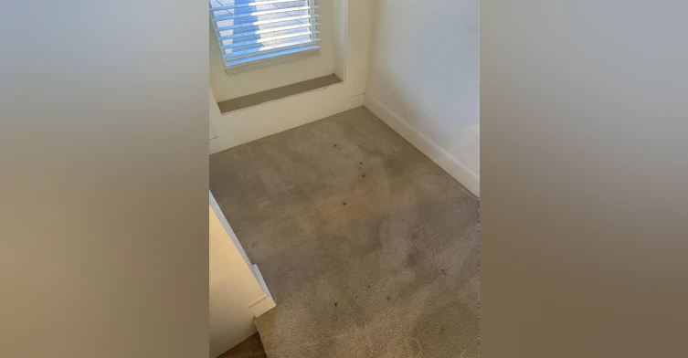 PH1-3581 Ross Drive, Vancouver, BC, V6S 0K5 - 9