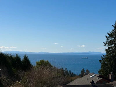 1496 Bonniebrook Heights Road - 5