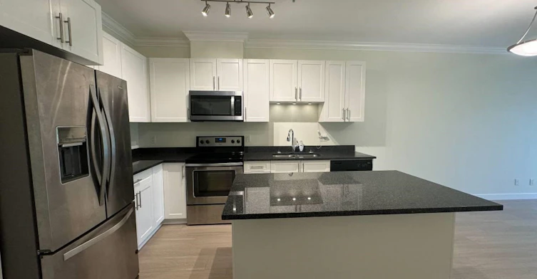 203-11580 223st, Maple Ridge, BC, V2X 9H1
