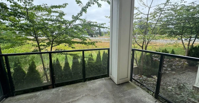 203-11580 223st, Maple Ridge, BC, V2X 9H1 - 12