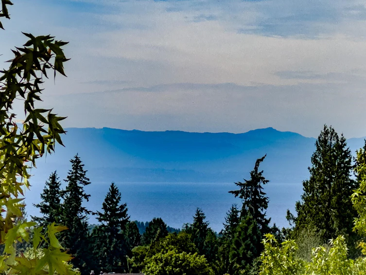 5692 Emily Way, Sechelt, BC, V7Z 0N5 - 31