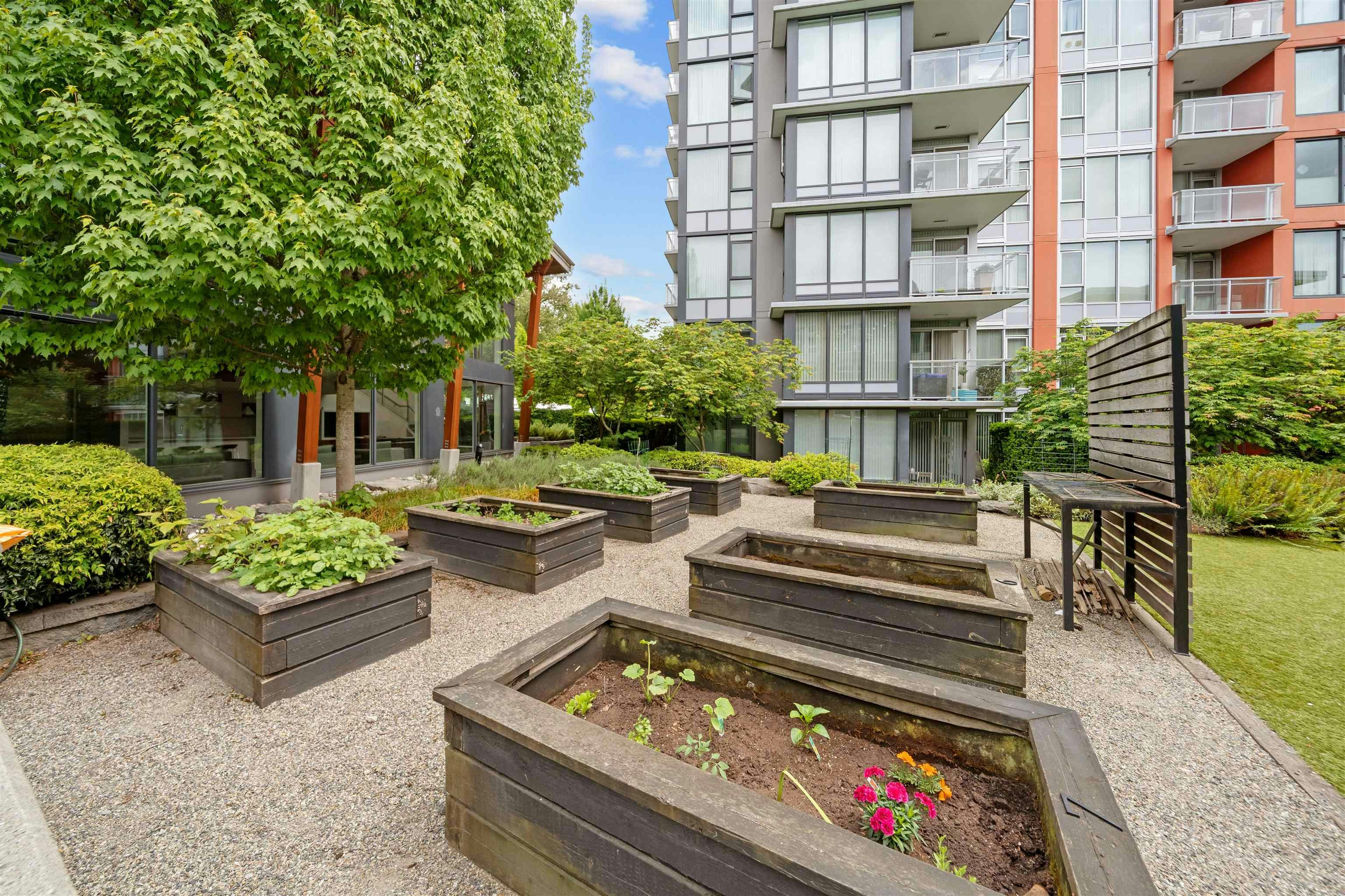 502-3263 Pierview Crescent, Vancouver, BC, V5S 0C3 - 33