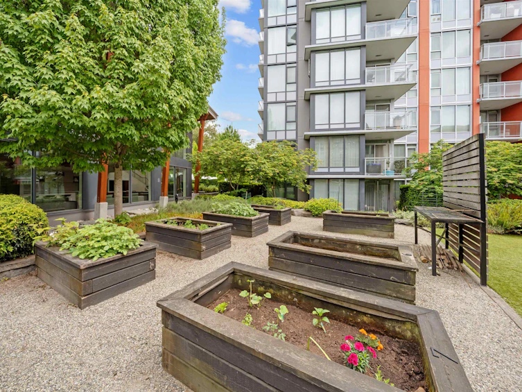 502-3263 Pierview Crescent, Vancouver, BC, V5S 0C3 - 33