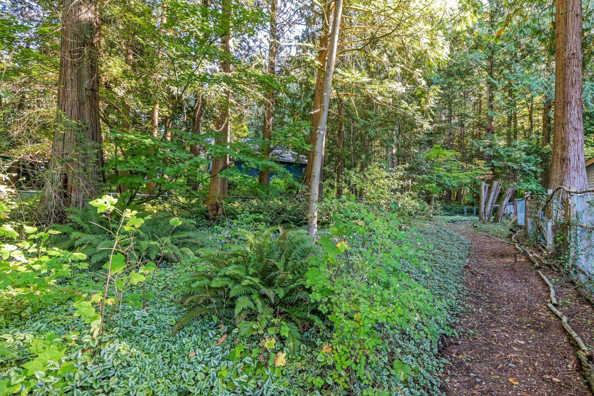 2842 130 Street, Surrey, BC, V4P 1J7 - 35