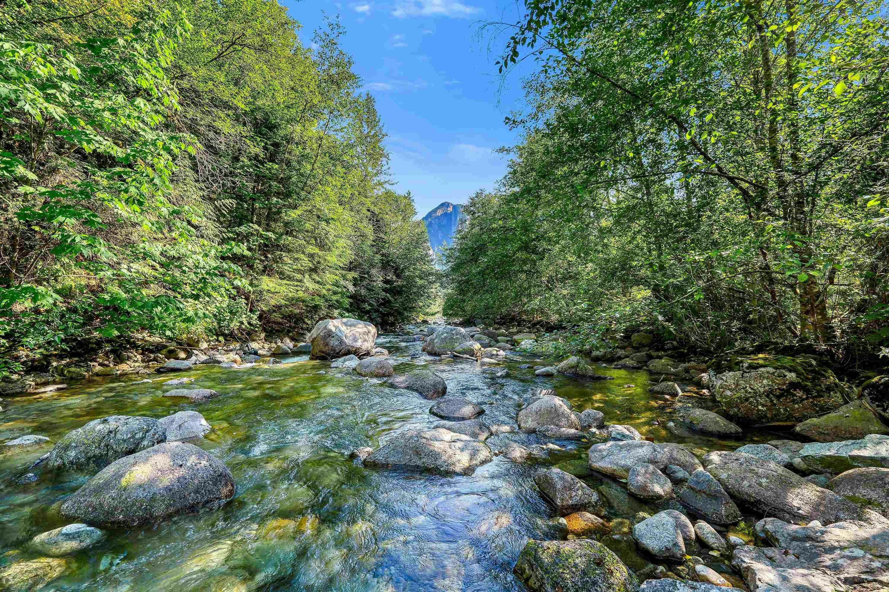 38582 Westway Avenue, Squamish, BC, V8B 0L6 - 30