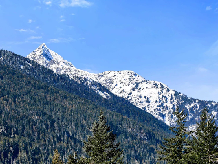 1352 Judd Road, Squamish, BC, V0N 1H0 - 30