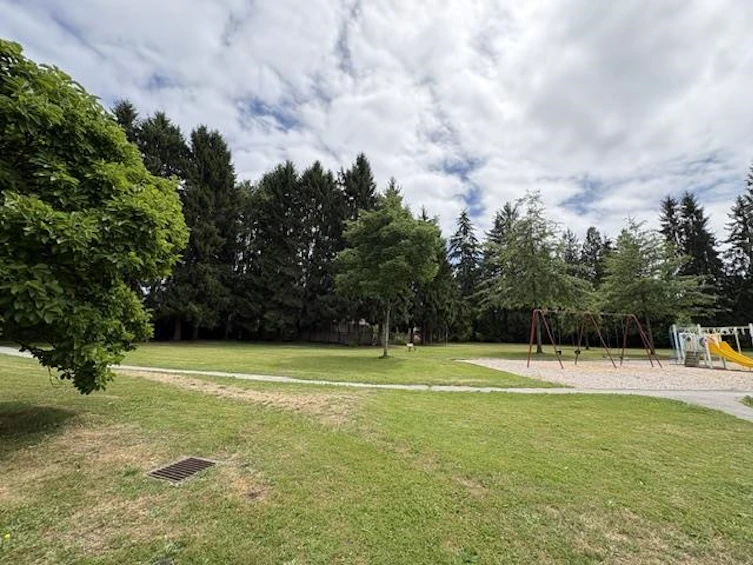 12314 Fulton Street, Maple Ridge, BC, V2X 6L5 - 31