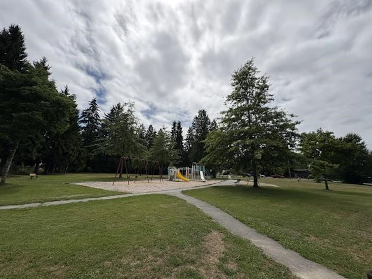 12314 Fulton Street, Maple Ridge, BC, V2X 6L5 - 30
