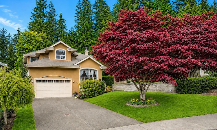 1416 Purcell Drive
