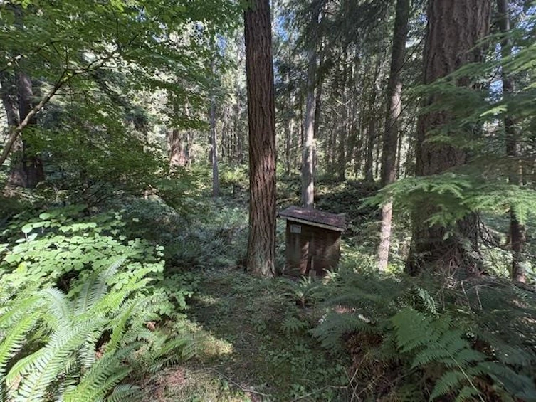 14202 Marc Road, Maple Ridge, BC, V4R 2G5 - 15