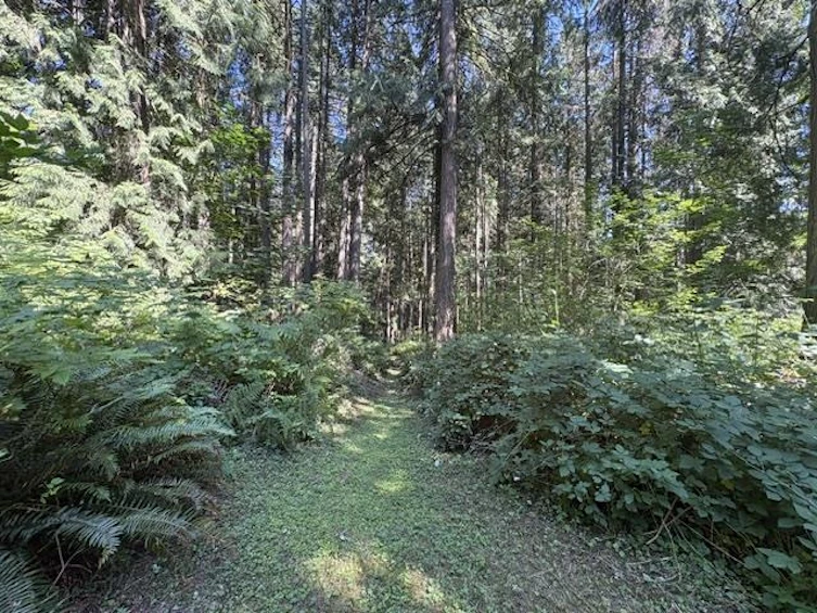 14202 Marc Road, Maple Ridge, BC, V4R 2G5 - 16