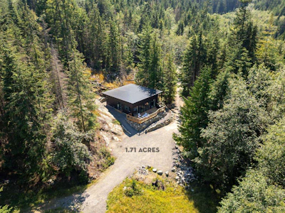 1290 Cowan Point Drive - 4