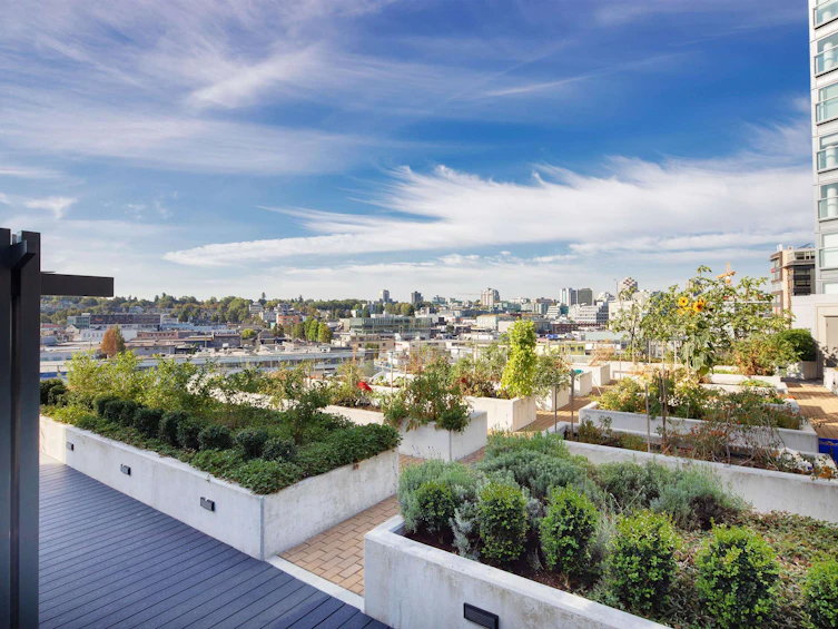 312-159 W 2nd Avenue, Vancouver, BC, V5Y 0L8 - 28