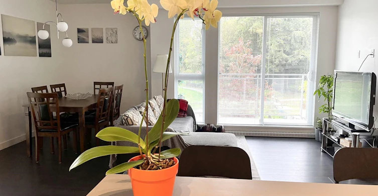 314-13963 105 Boulevard, Surrey, BC, V3T 4N6 - 2