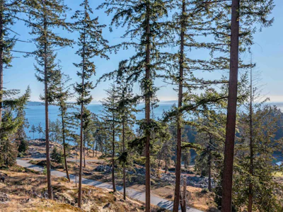 822 Mcintosh Lane - 3