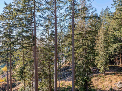 822 Mcintosh Lane - 5
