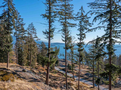 822 Mcintosh Lane - 2