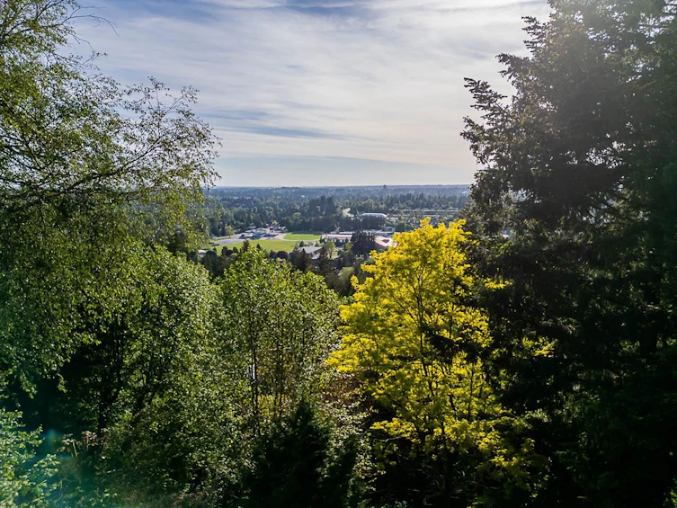 2724 St. Moritz Way, Abbotsford, BC, V3G 1C3 - 37