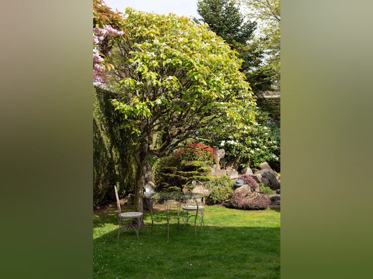 5686 Cornwall Place, Richmond, BC, V7C 5M7 - 34
