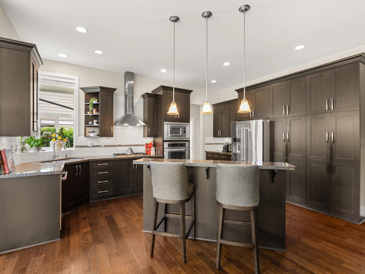 2653 164 Street, Surrey, BC, V3Z 0E2 - 11