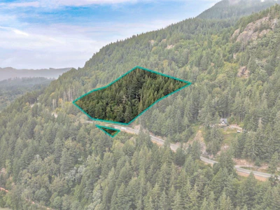 3333 Lougheed Highway - 2
