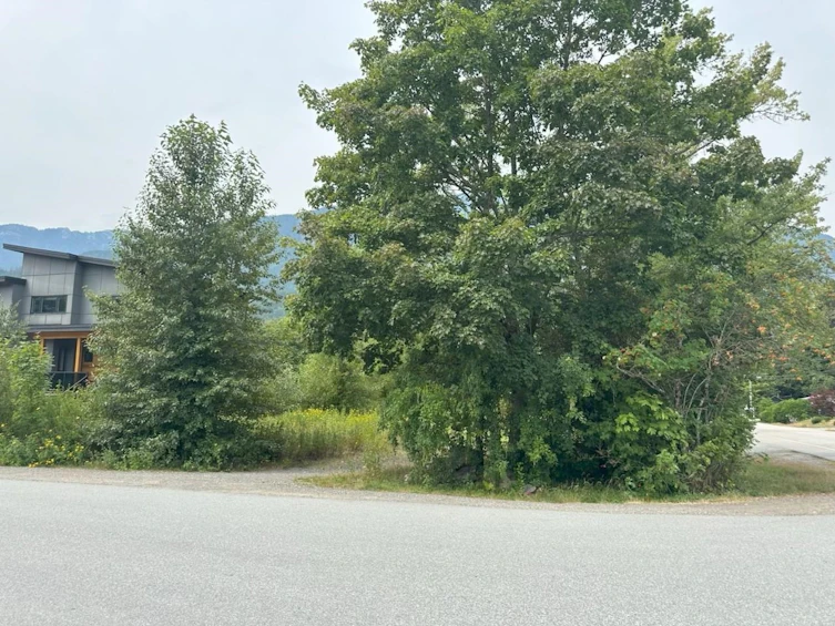 41789 Cottonwood Road, Squamish, BC, V0N 1H0 - 2
