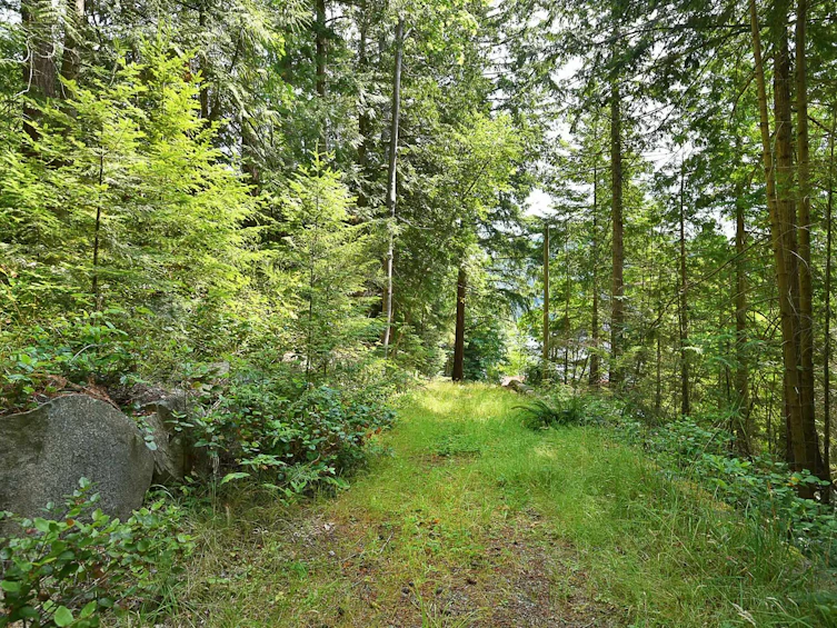 4365 Francis Peninsula Road, Pender Harbour Egmont, BC, V0N 2H1 - 13