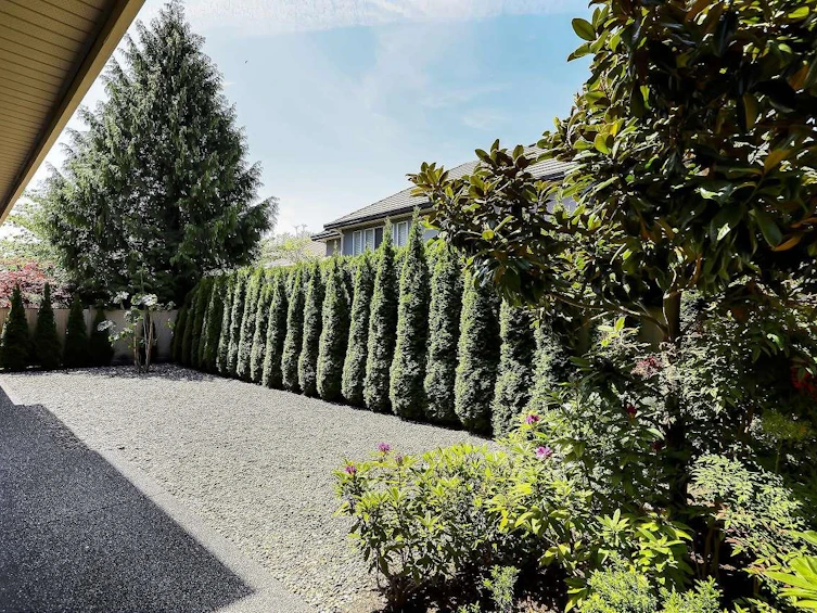 8151 Dalemore Road, Richmond, BC, V7C 2A5 - 38