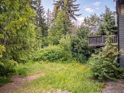 6447 Balsam Way - 4