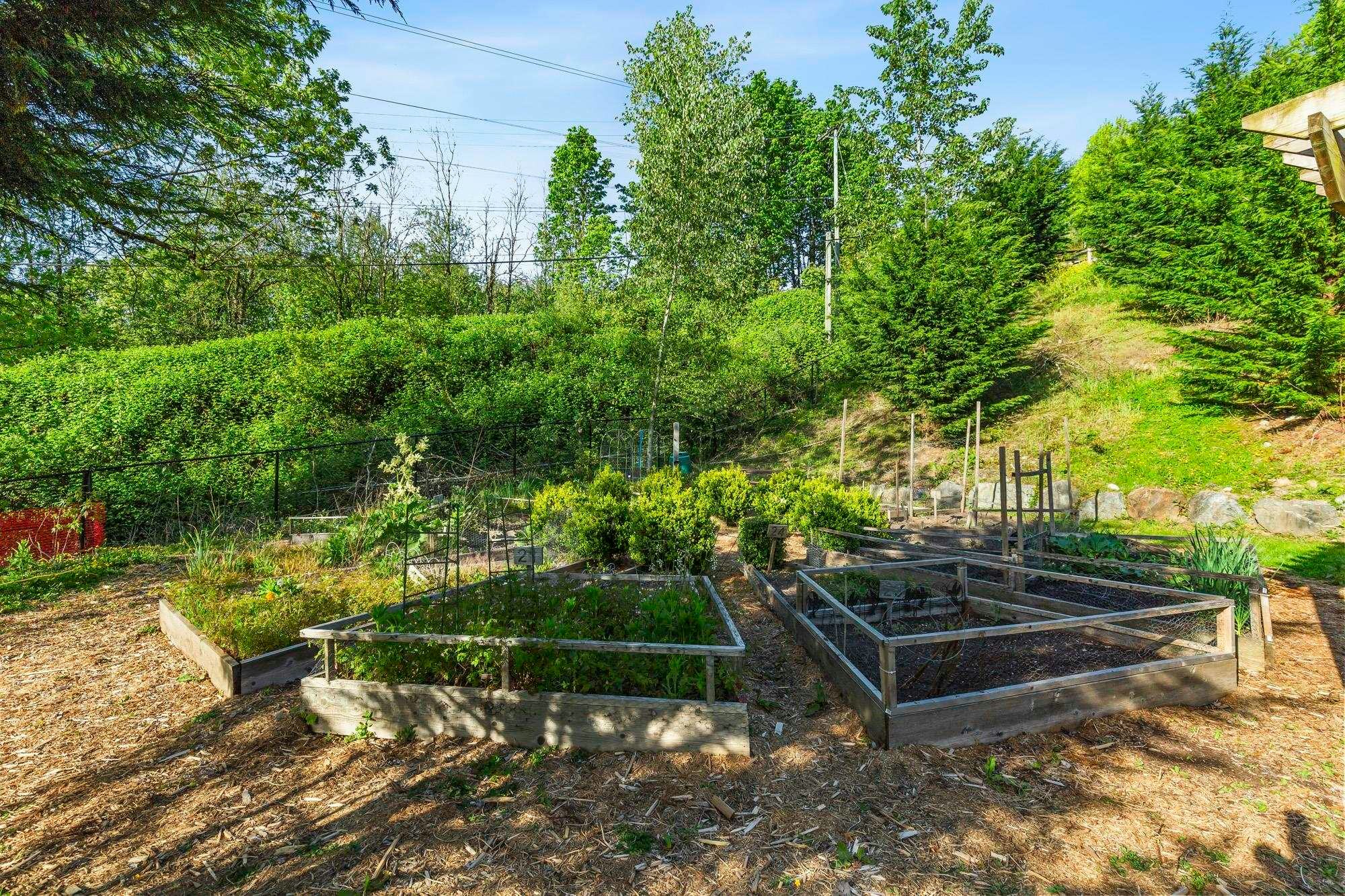 38-34230 Elmwood Drive, Abbotsford, BC, V2S 0J1 - 36