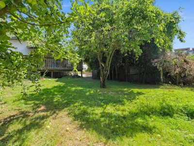 9521 Robson Street - 4