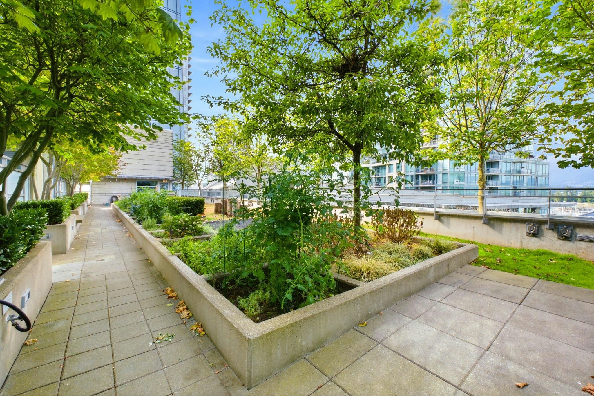 802-1409 W Pender Street, Vancouver, BC, V6G 2S3 - 29