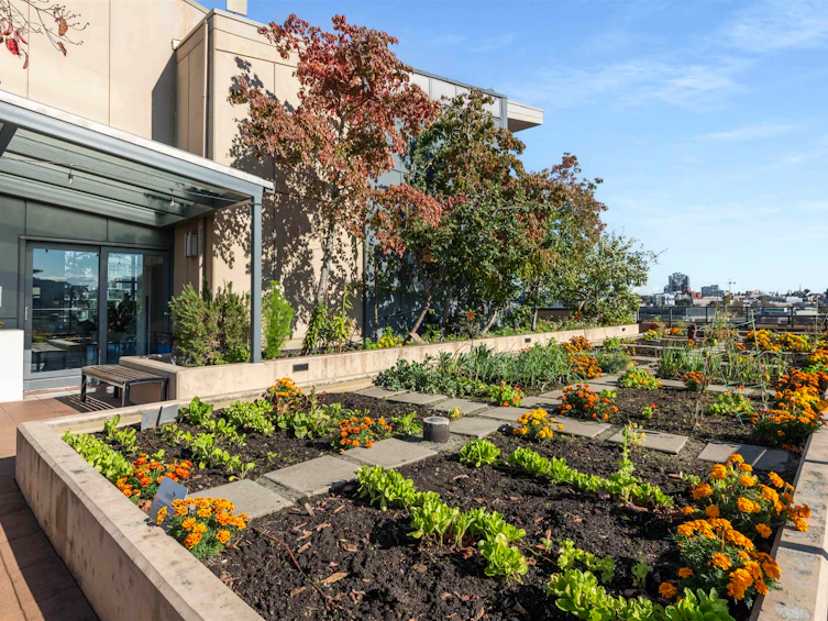 207-288 W 1st Avenue, Vancouver, BC, V5Y 0E9 - 21